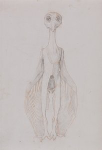 Vergelijkende Anatomische Expositie van de Structuur van het Menselijk Lichaam met die van een Tijger en een Koe door George Stubbs